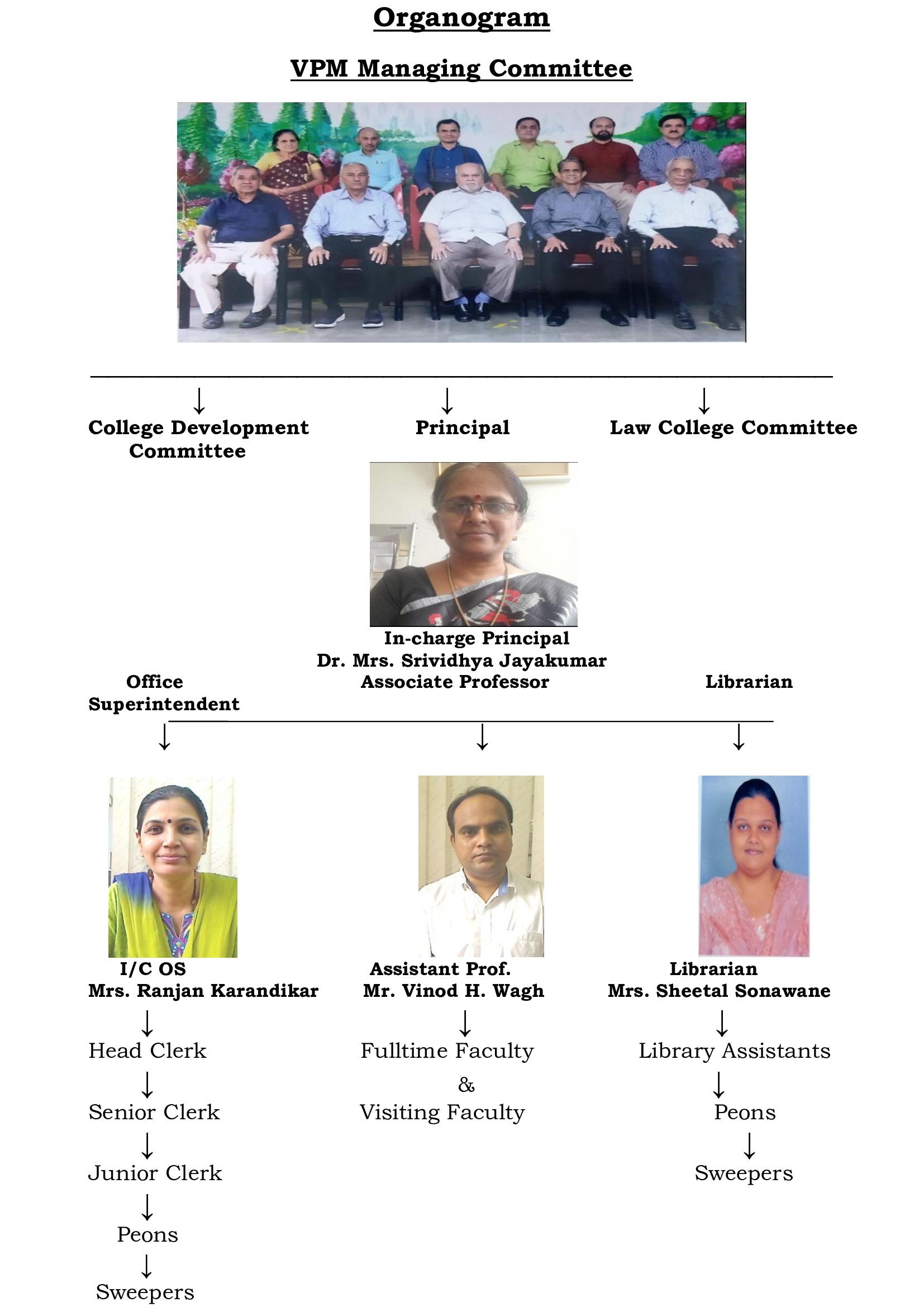 Organogram